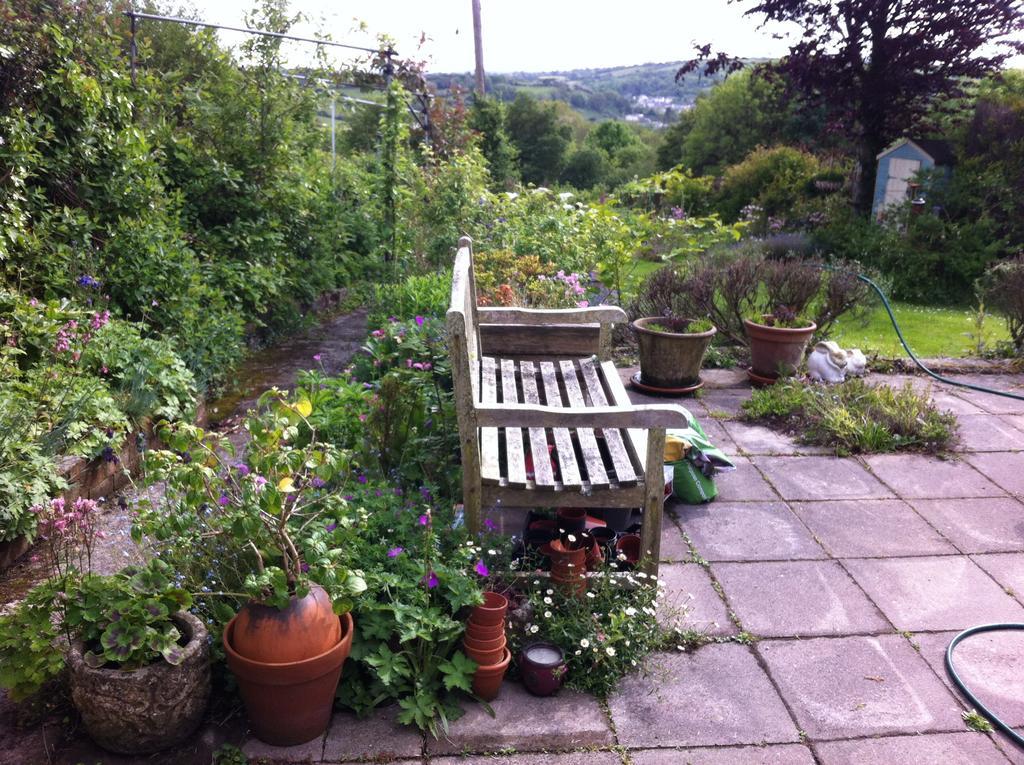 Vine Cottage Penpillick Exterior foto