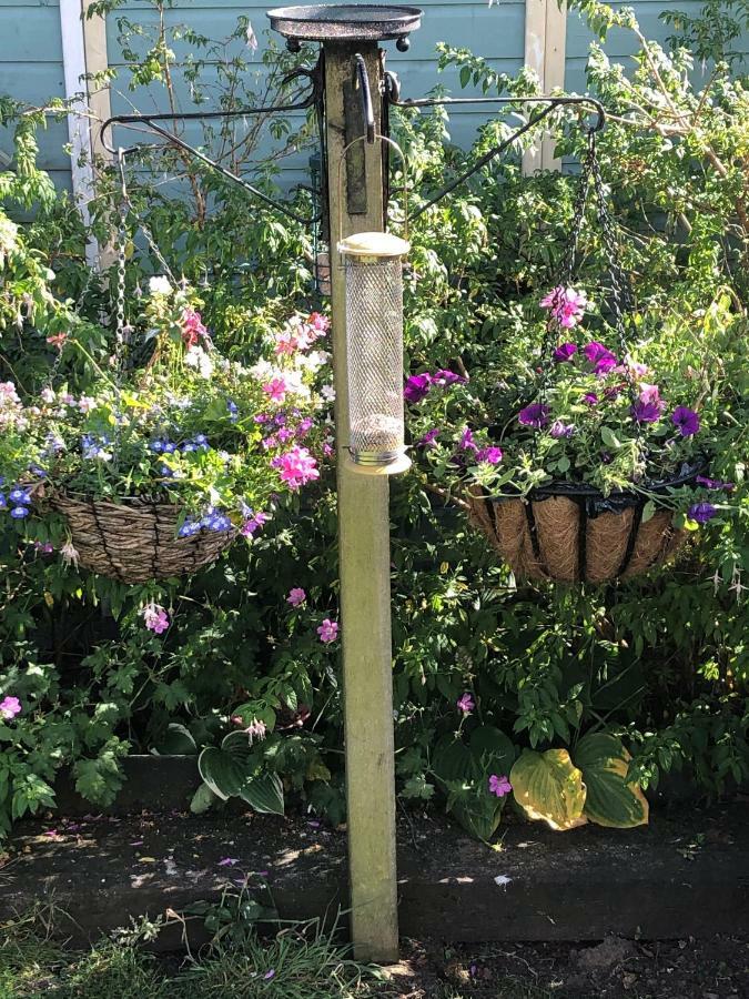 Vine Cottage Penpillick Exterior foto